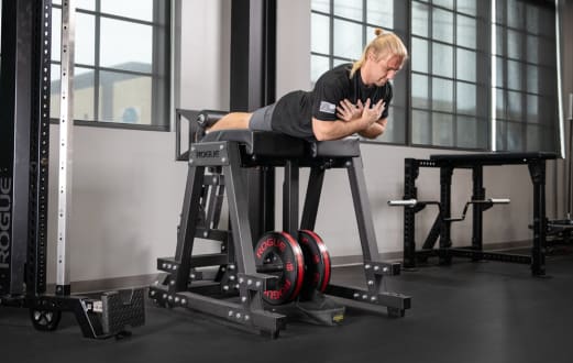 DONKEY HAMMER アシモクラフツ Rogue Donkey | Rogue Fitness Canada